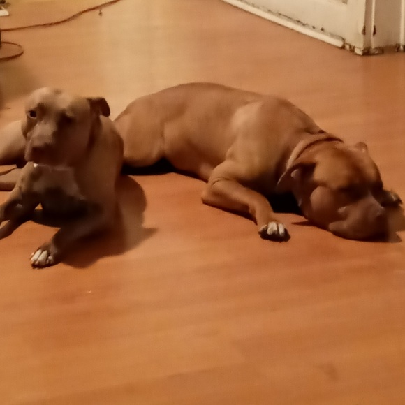 Meet your Posher, Kenneth - Picture 1 of 1